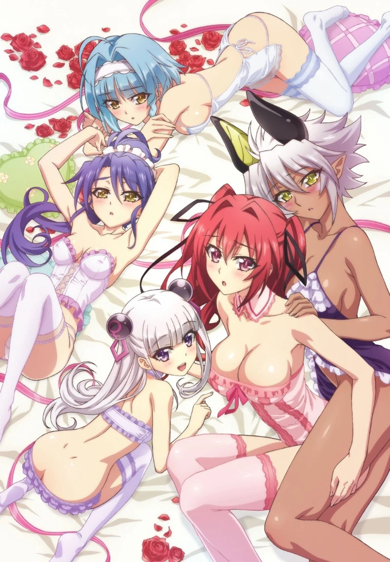 [VCB-Studio] Shinmai Maou no Testament BURST [01][Ma10p_1080p][x265_flac]